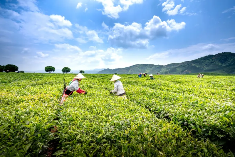 快适居知智能家居产品线全解析：从环境控制到智慧社区联动封面图