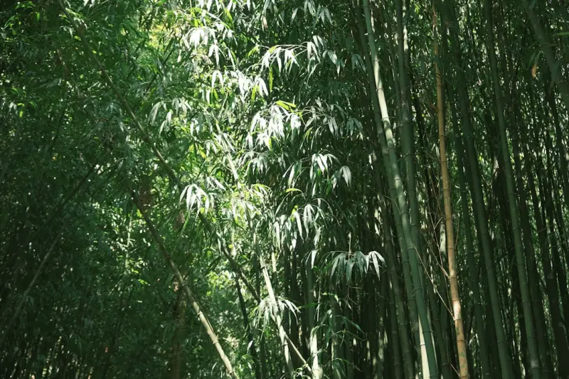 快适居智能家居系列产品功能参数横向对比分析